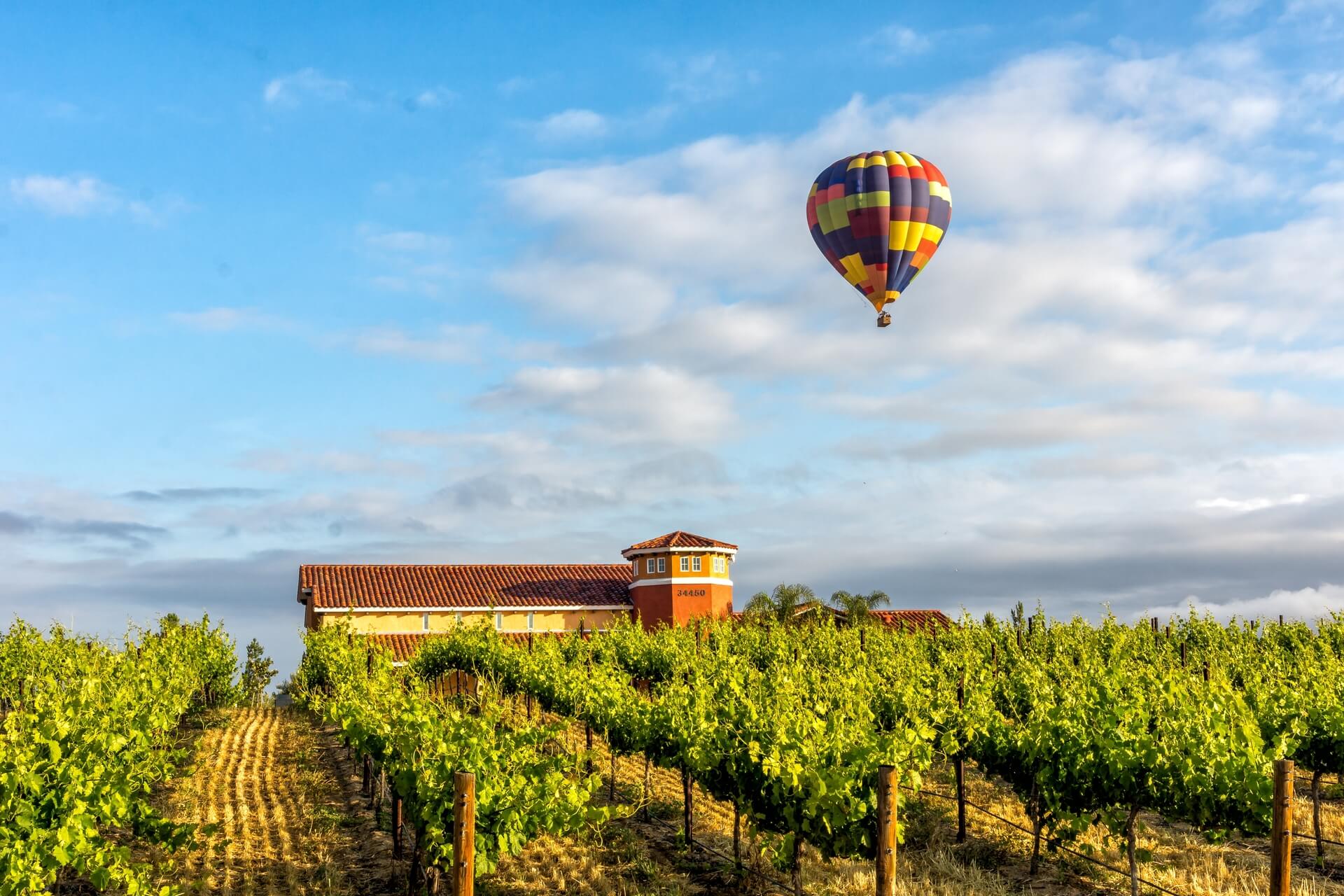 Hot air balloon in Temecula Wine Country