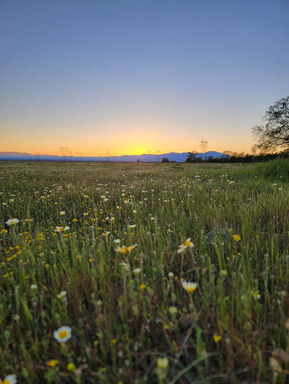 Acreage & Country Living