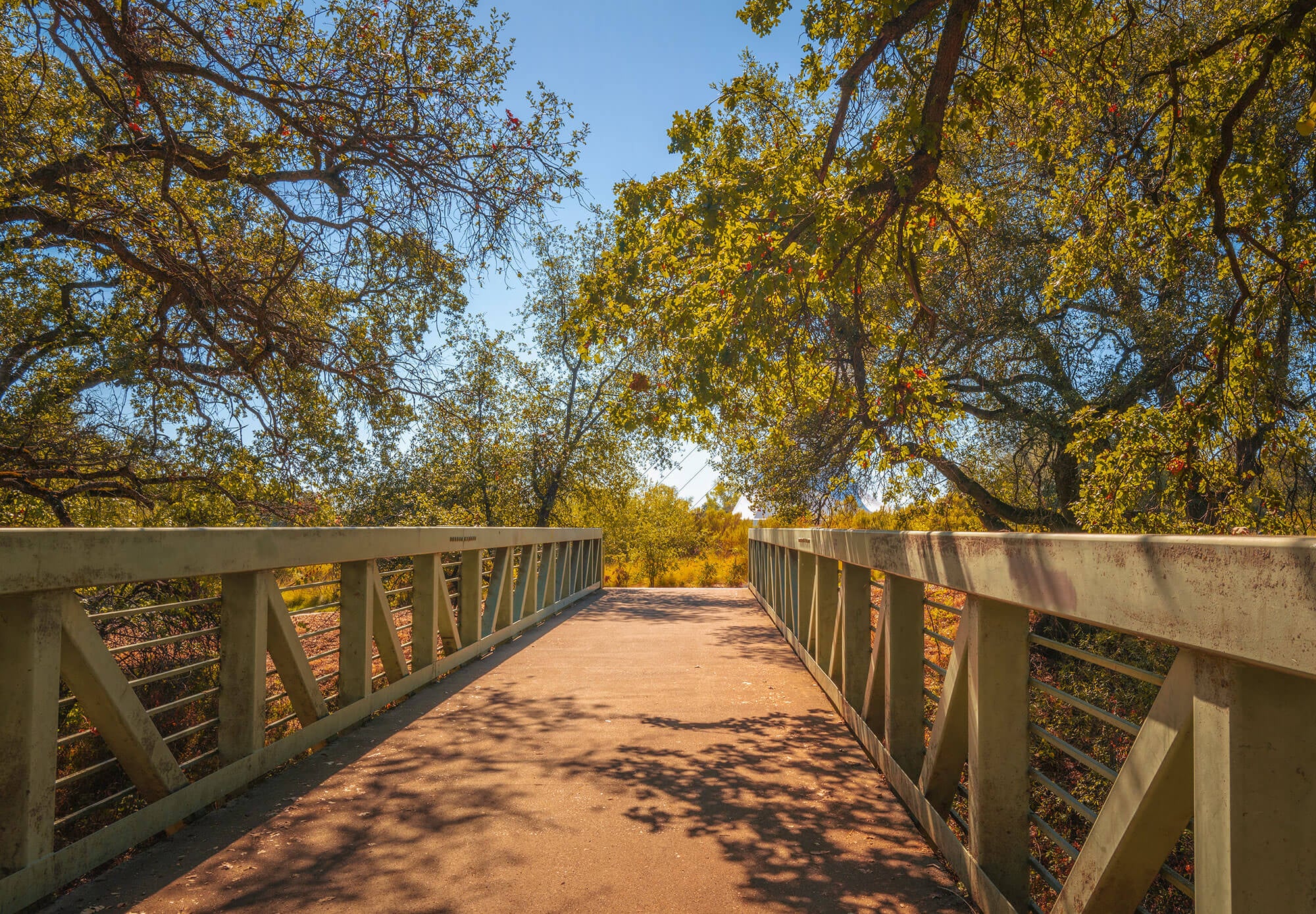 Old-bridge-Redding