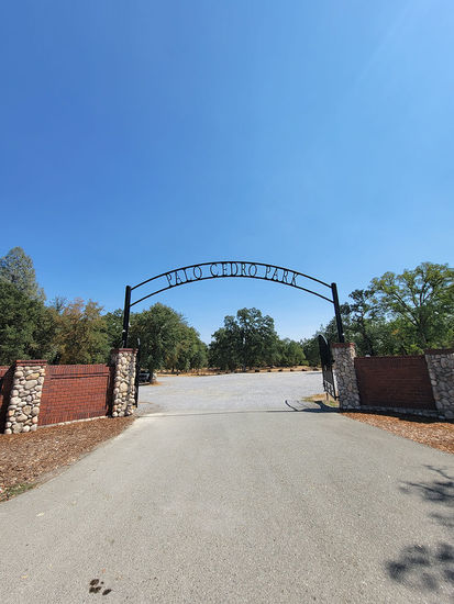 Palo Cedro