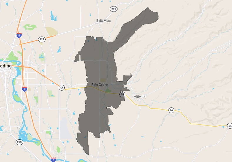 Palo Cedro