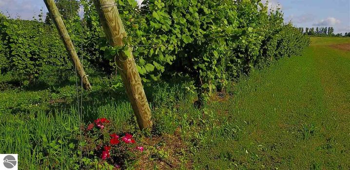 Center Road (28)