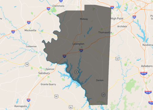 davidson county 1.png