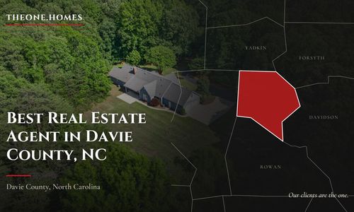 Best Real Estate Agent in Davie County, NC