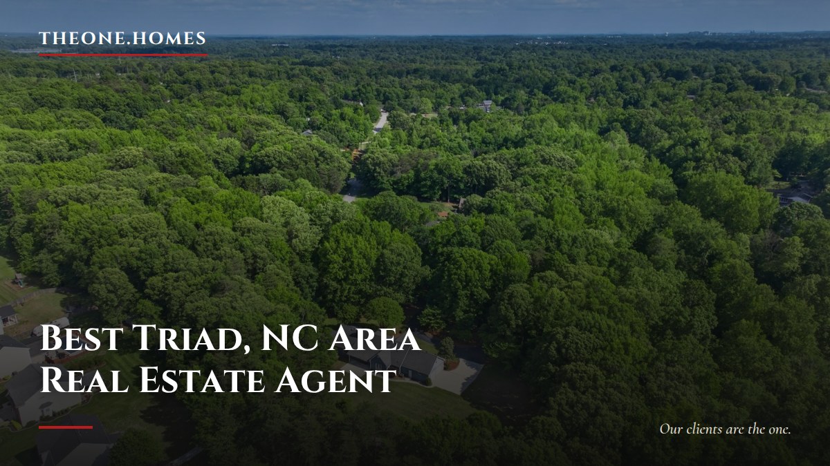 theone-homes-blog-best-triad-nc-area-real-estate-agent