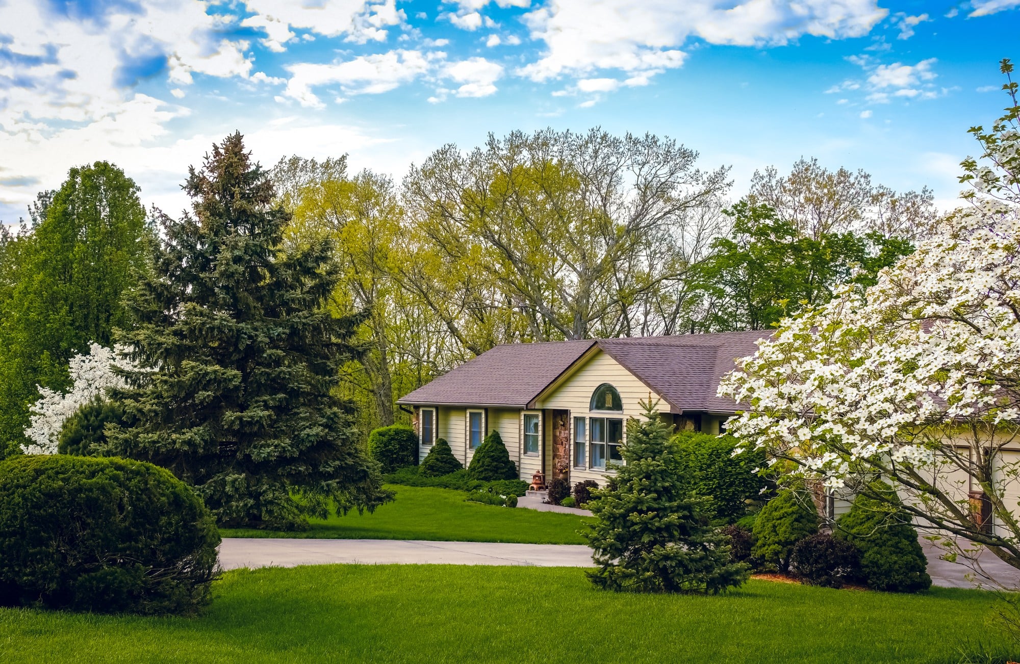 View of ranch style house in suburban neighborhood in Missouri, Midwest, on sunny spring day_ blooming dogwood tree in foreground