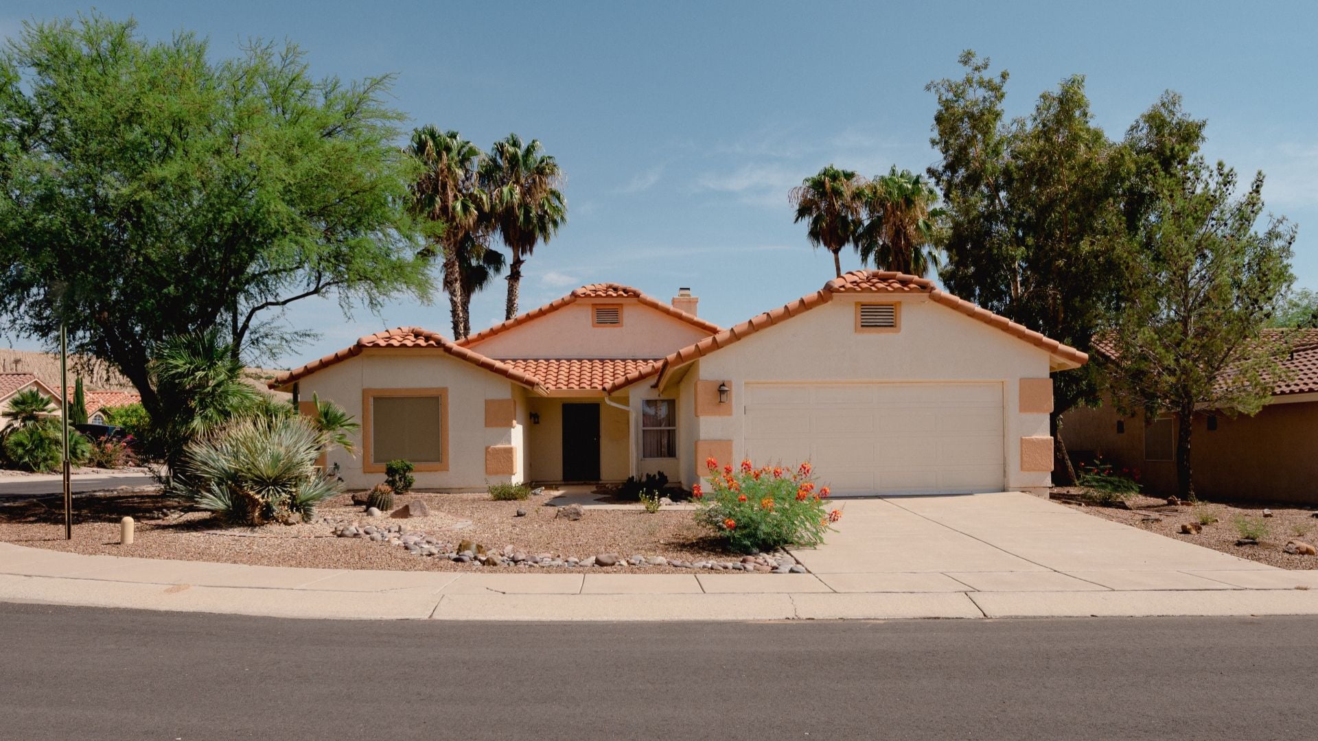 Tucson Arizona home with green trees and palm trees. (1)