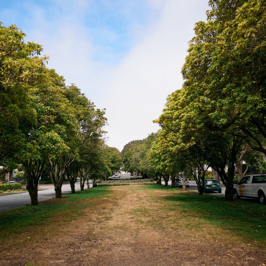 district 4 - Bianca Kofman Realtor