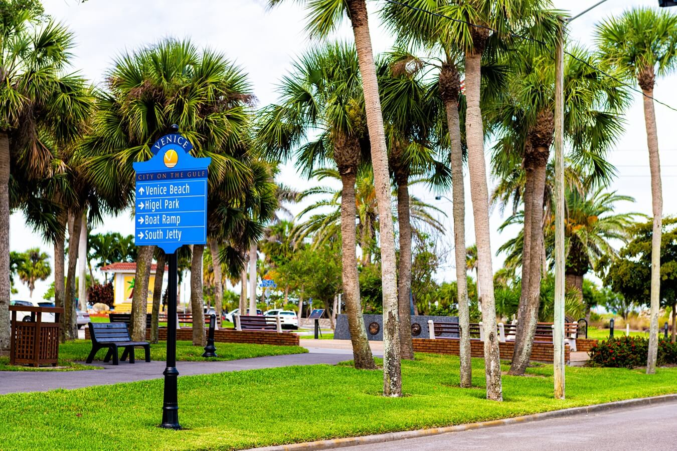 Venice, Florida retirement city town in gulf of Mexico with palm trees on street