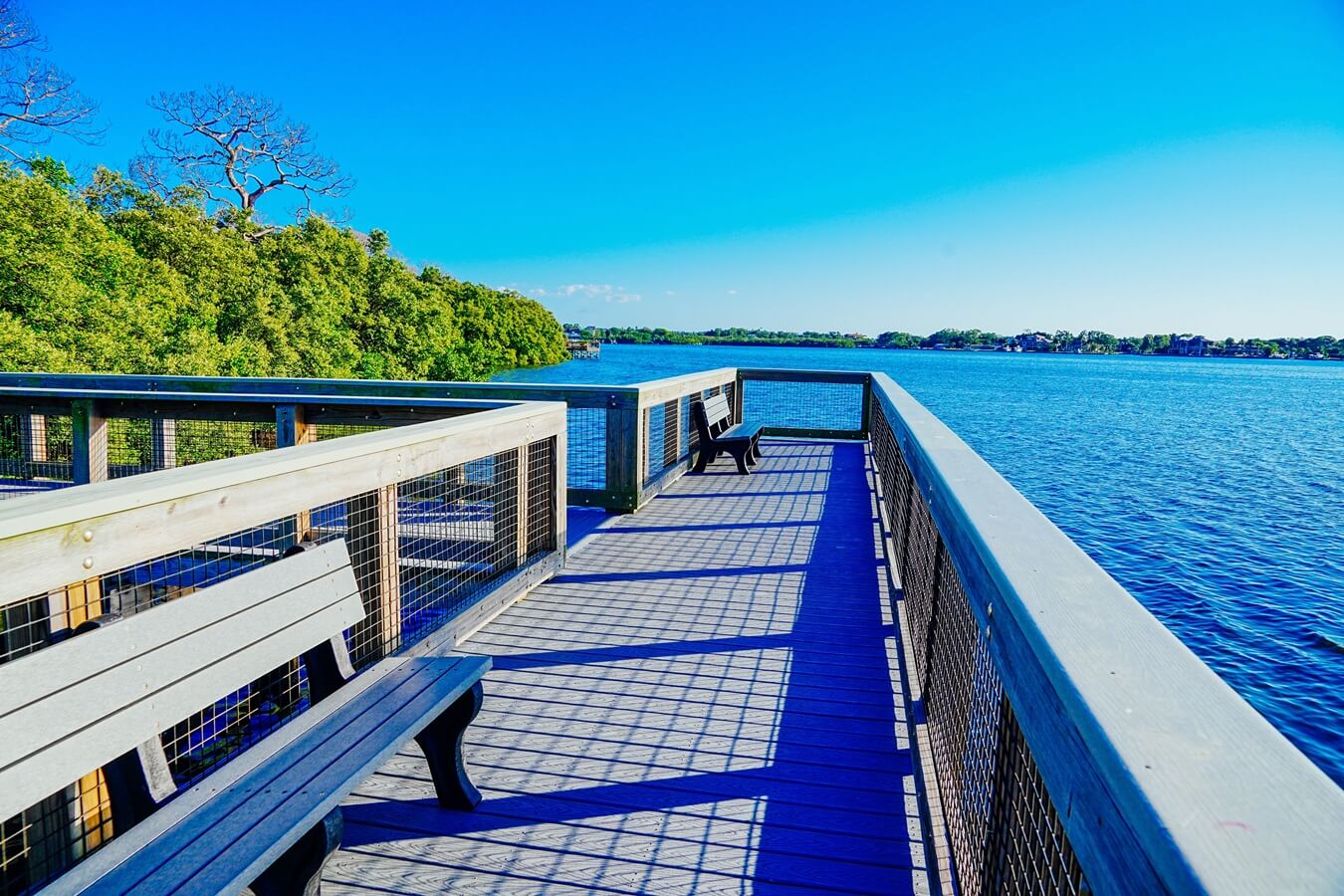 Wall Springs Park and Pinellas Trail in Palm Harbor