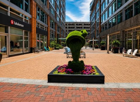 Fairfax County-img-6