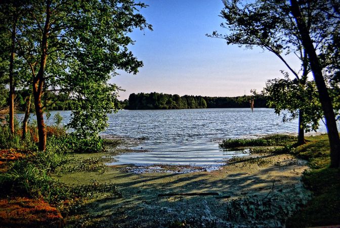 Goose Creek