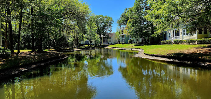 Pond