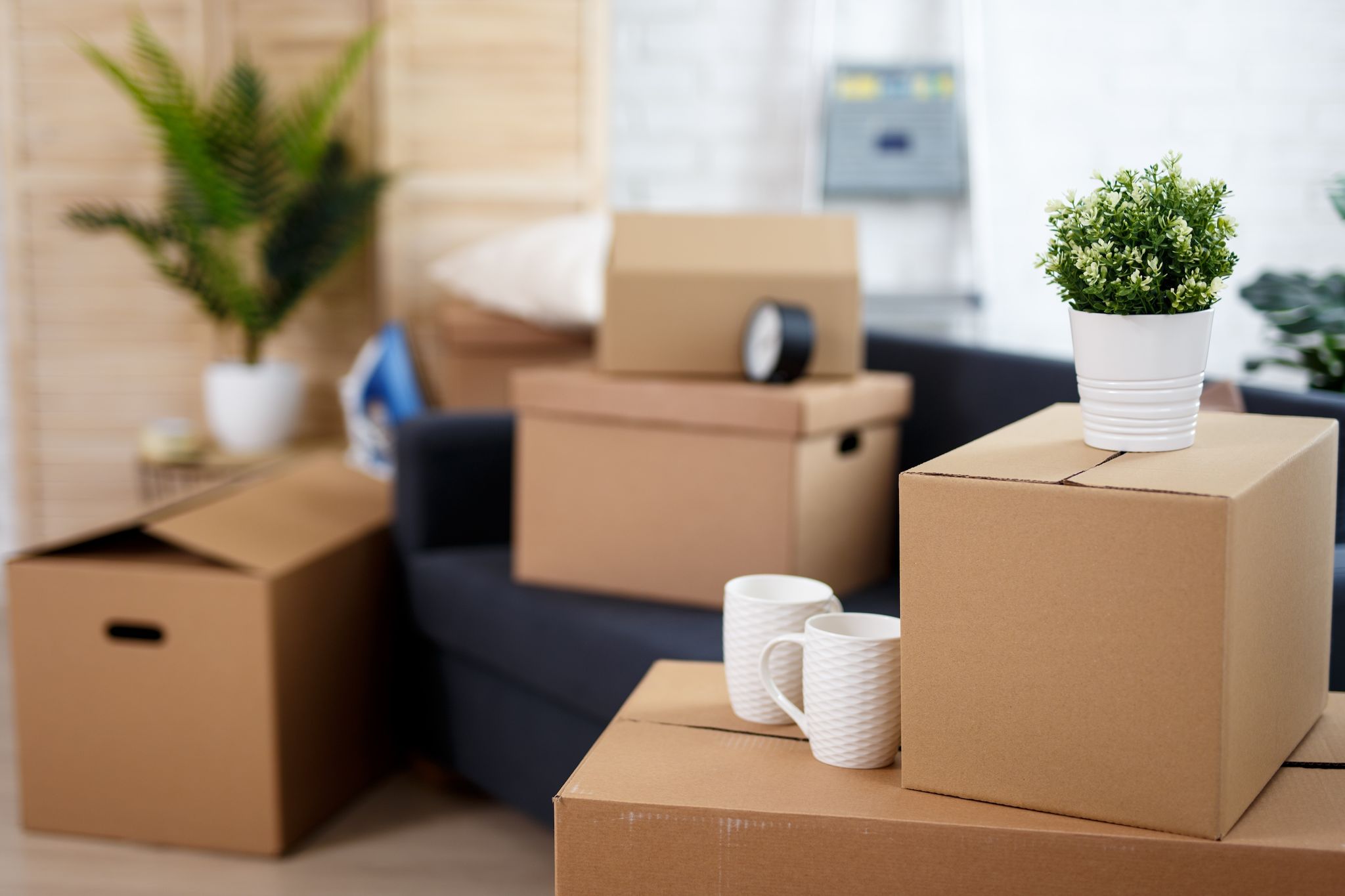 <span class="custom-services-eyebrow">Step 6</span> COORDINATE THE SALE THROUGH CLOSING
