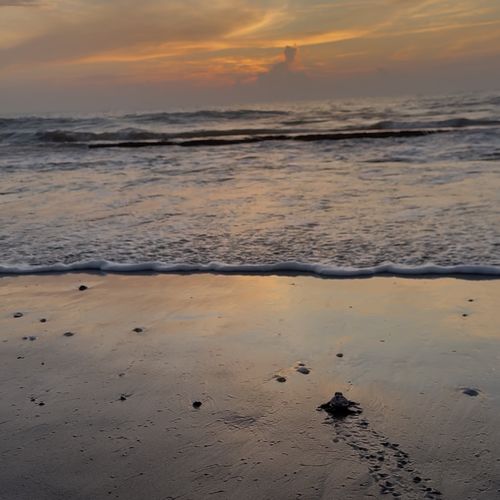 The Best Family-Friendly Summer Events Along Florida's Space Coast (From a Local Mom)