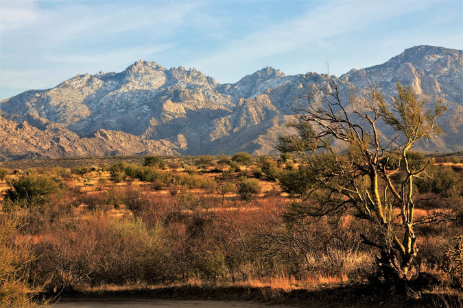 Oro Valley