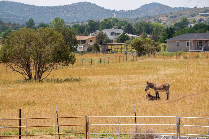 Chino Valley