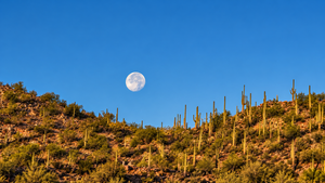 moon