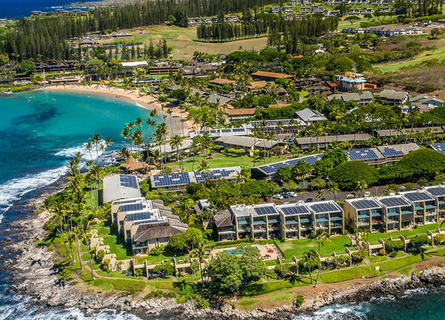 Napili