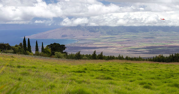 kula-maui