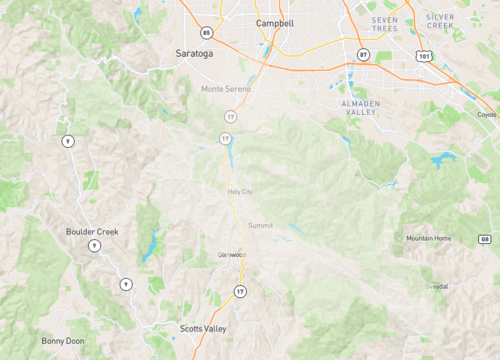 los gatos.png