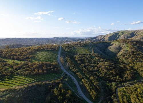 Orchard-Hills-1-scaled (1)