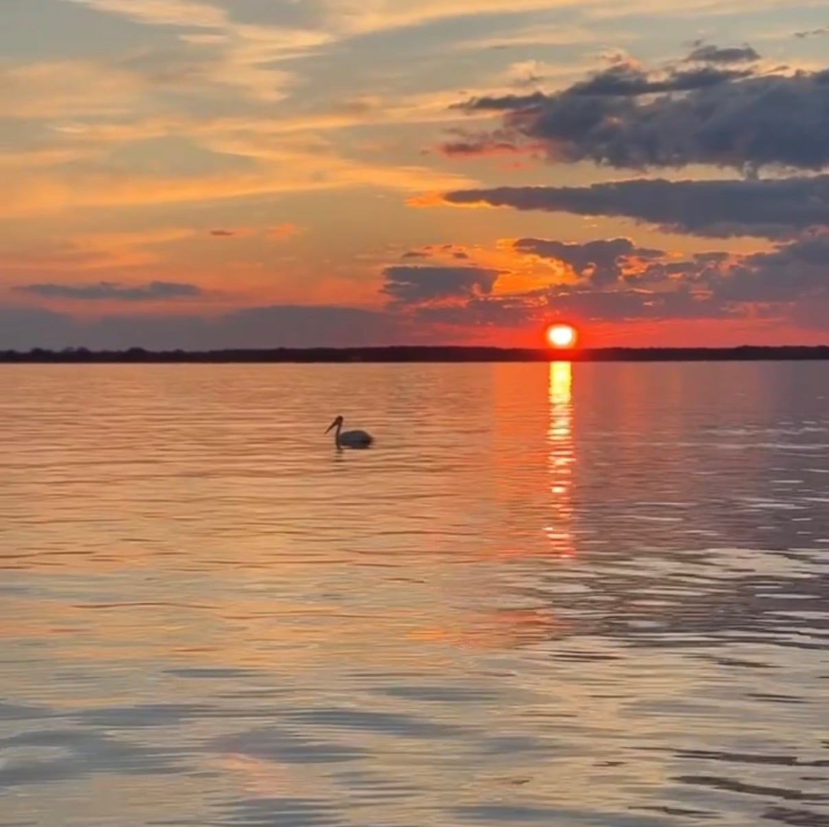 Bay Of Green Bay