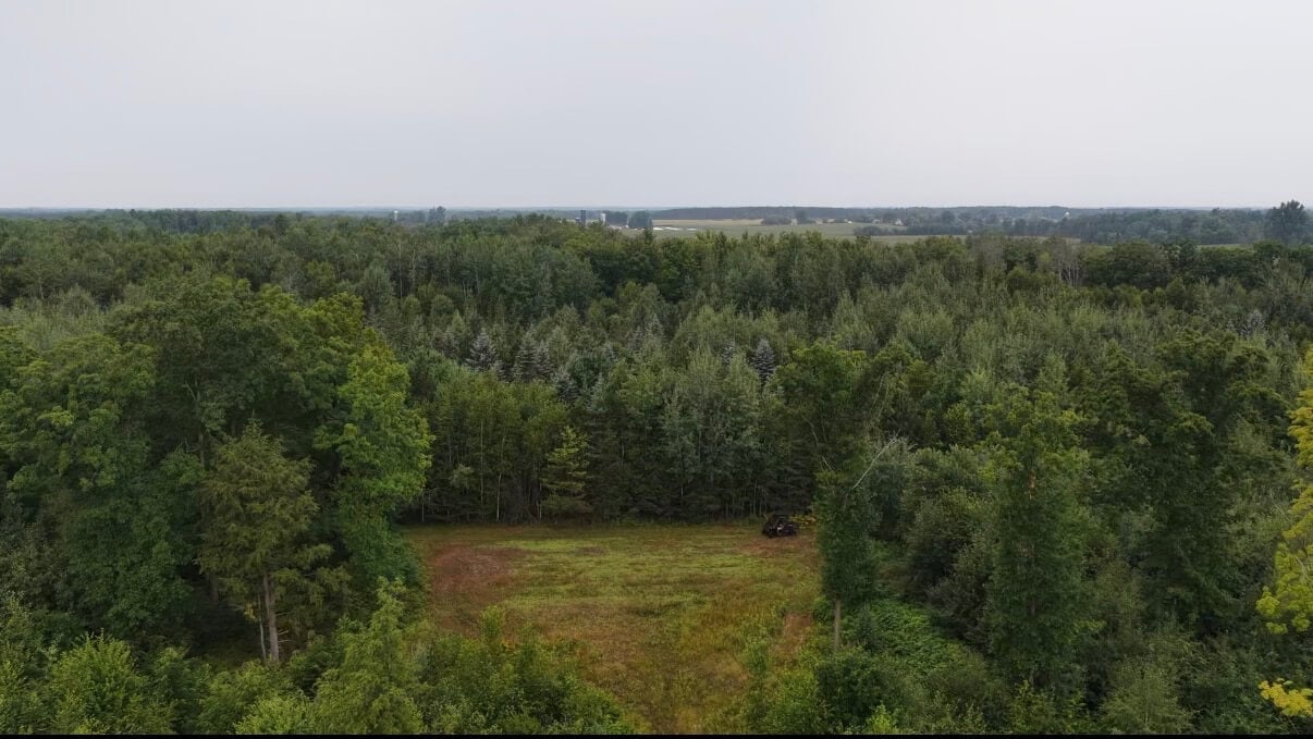 Forest County
