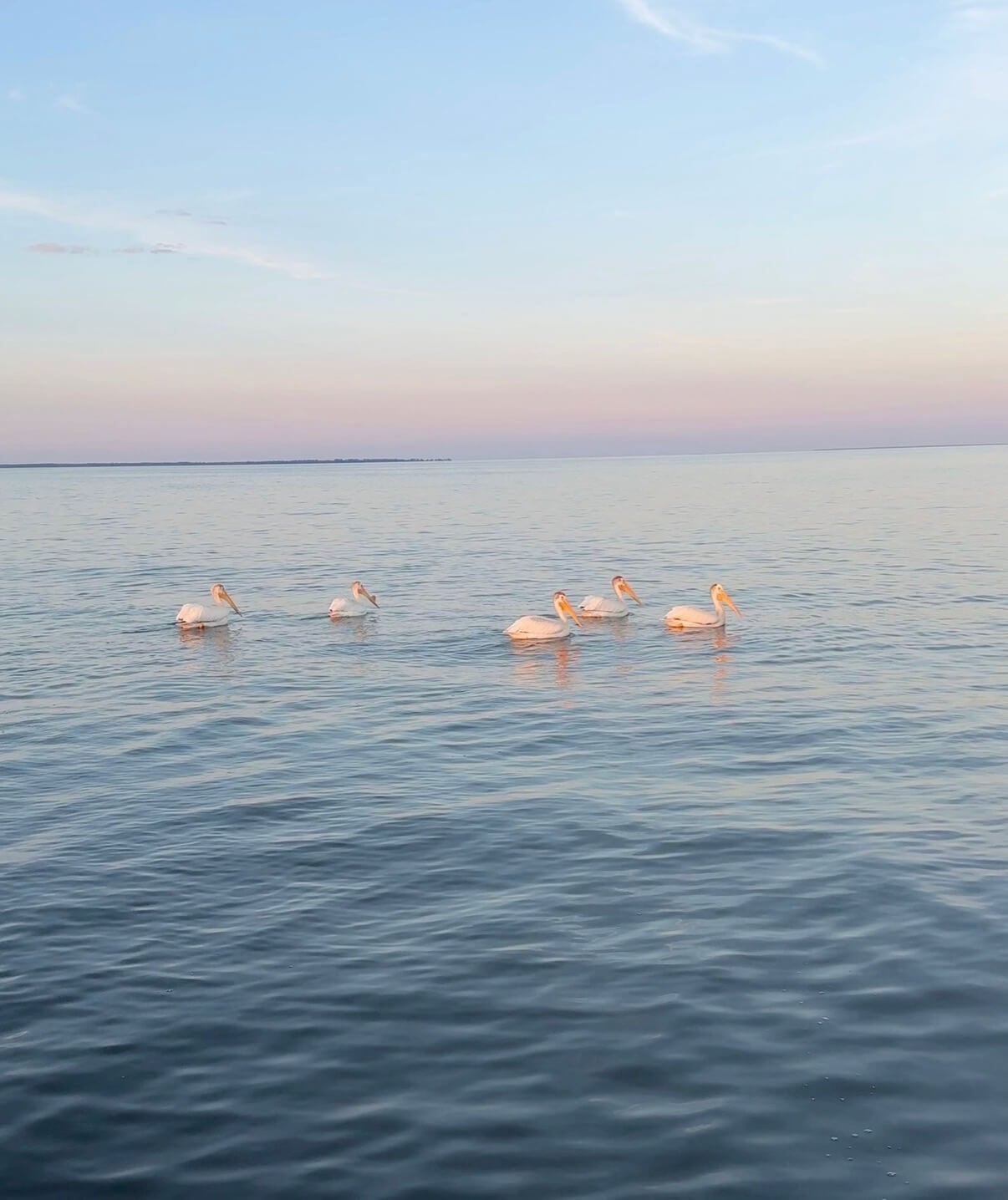 Oconto