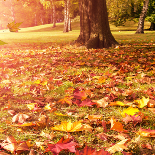 Fun Stuff To Do In October - Walworth County