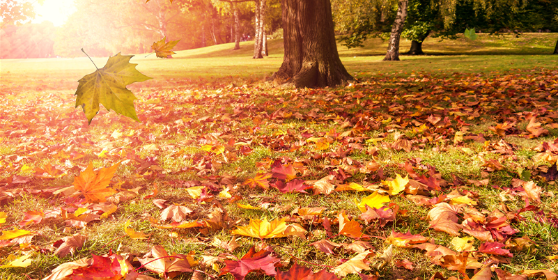 10-2025-Fun-Stuff-To-Do-In-October