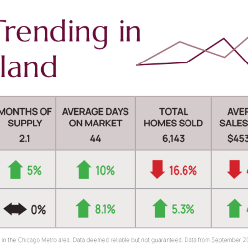 What’s Trending in Chicagoland November 2025