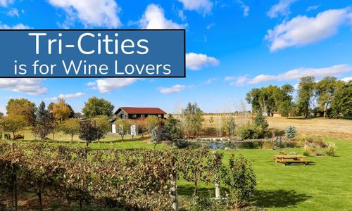 Tri-Cities is for Wine Lovers