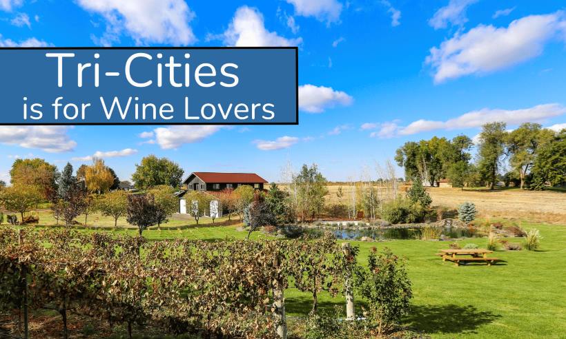 Tri-Cities-For-First-Time-Homebuyers-3