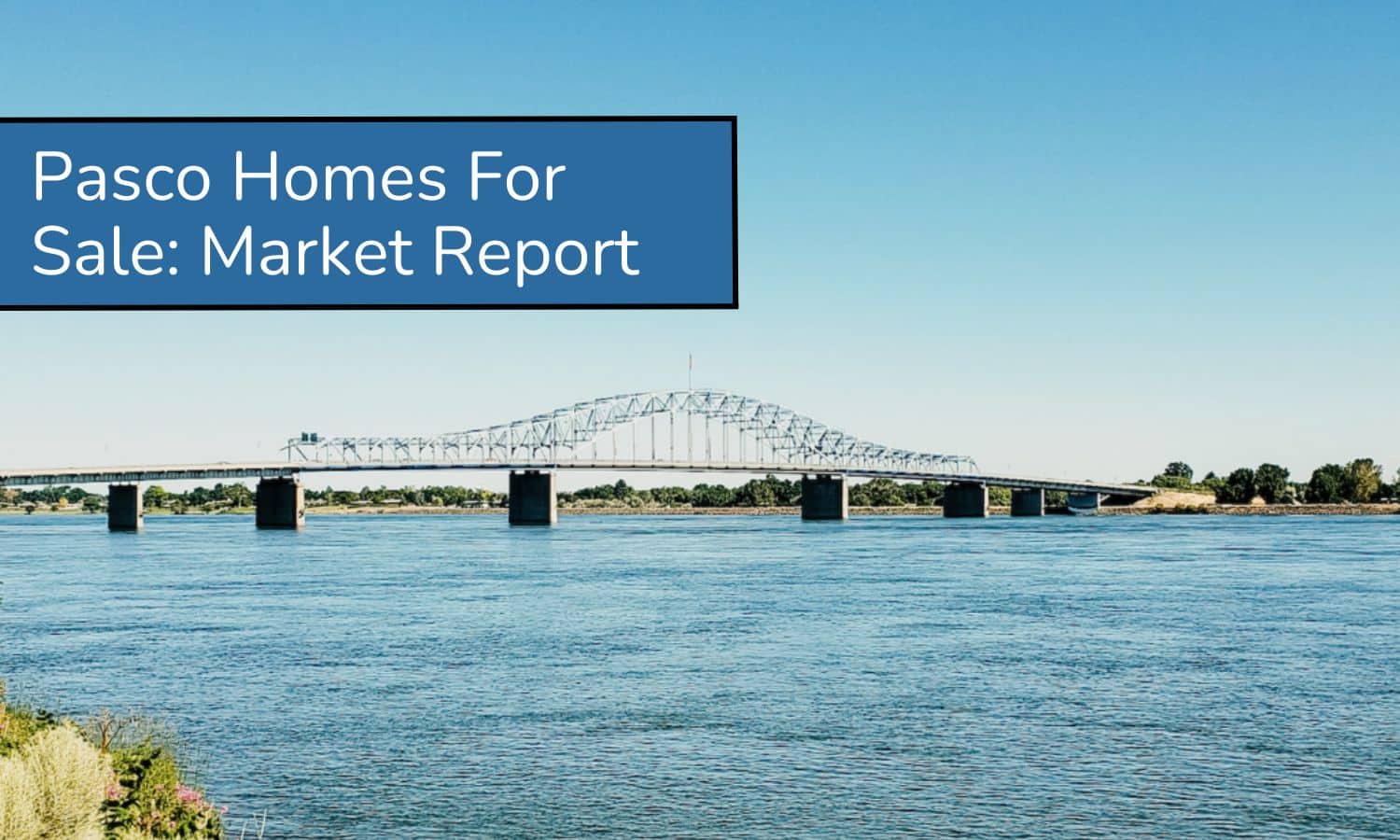 Pasco Homes For Sale Market Report