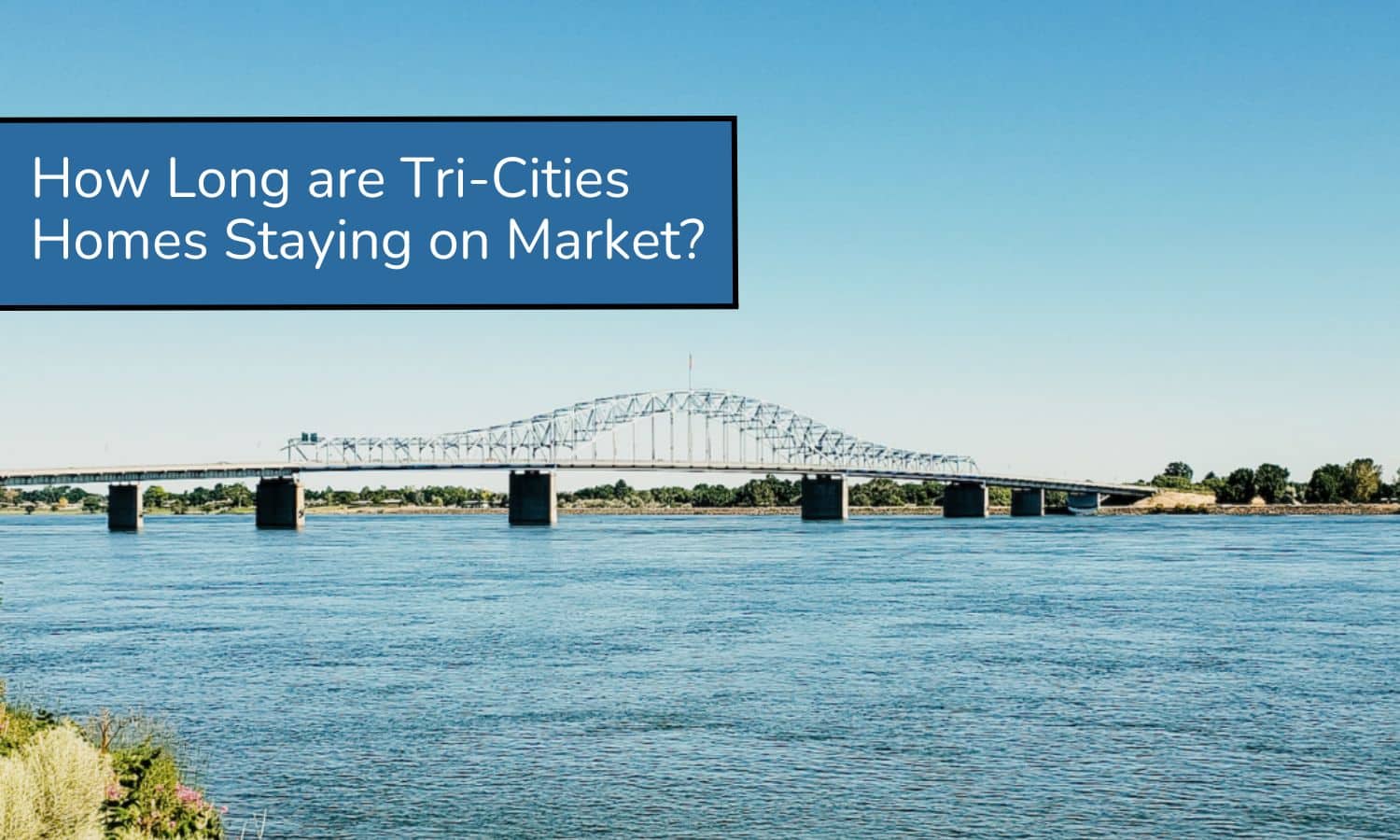 Tri-Cities Real Estate Market Update How Long Are Homes Staying on the Market – February 2025