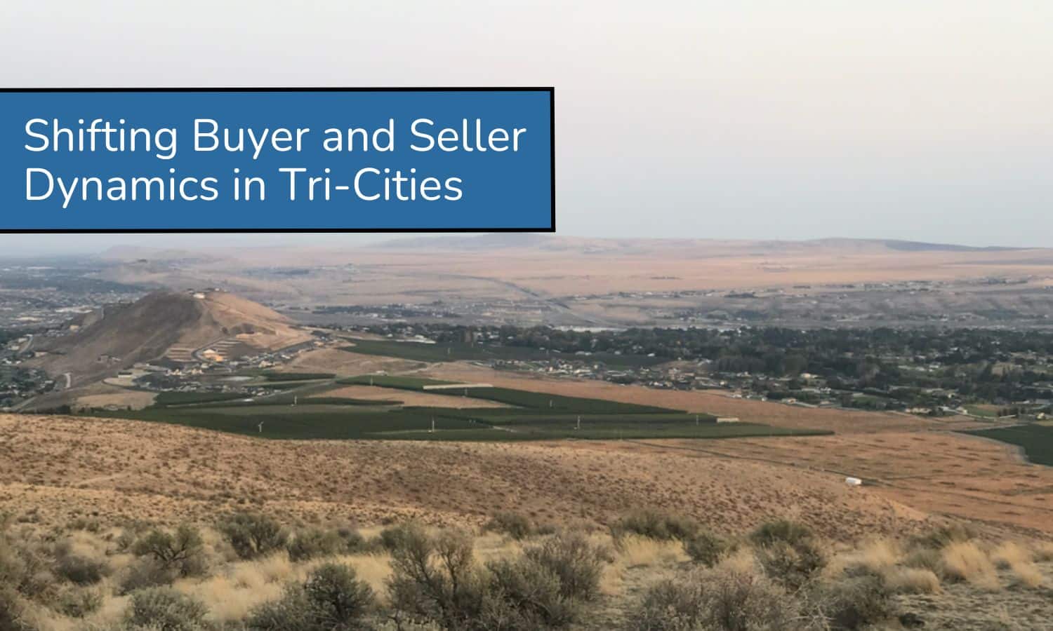 Tri-Cities Real Estate Market Update Shifting Buyer and Seller Dynamics – February 2025