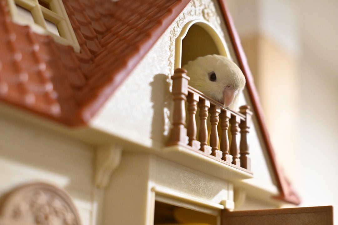 Minimal white mousetrap set on a clean background, with a small model of a house used as bait, symbolizing the real estate...