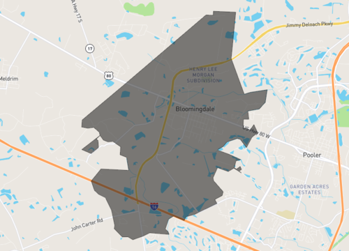 bloomingdale 1.png