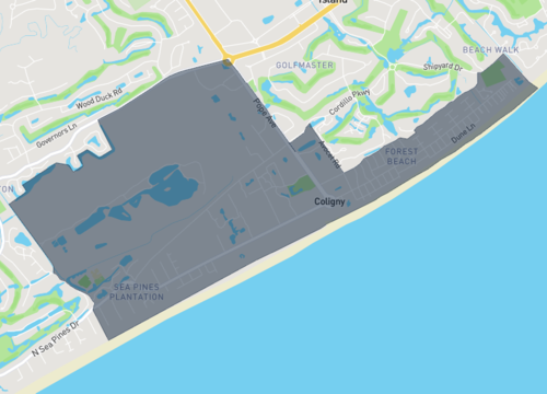 forest beach.png