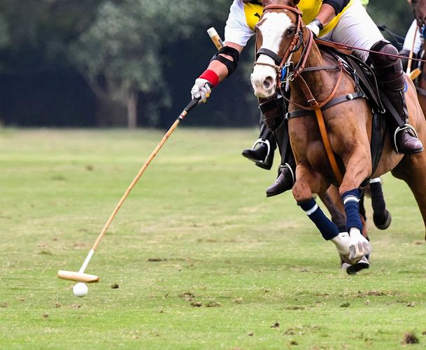 Equestrian-polo-photo