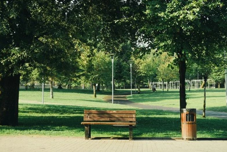 Parks and Picnics