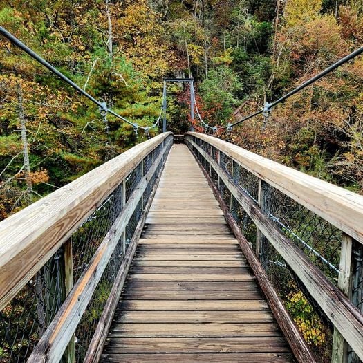 Hiking and Biking