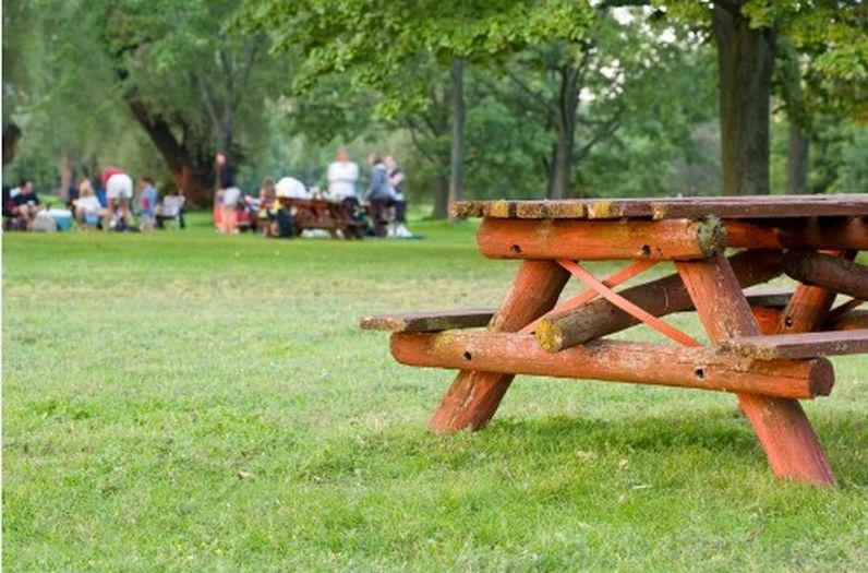 Parks and Picnics