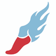 Raleigh Fireballs logo