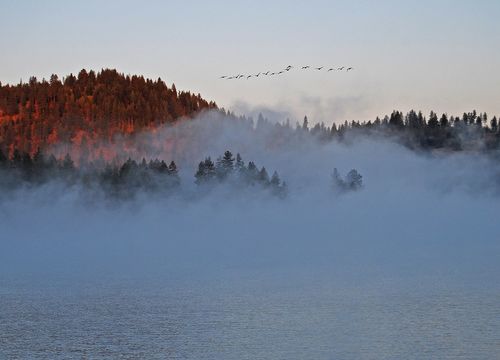 North Idaho Twin Lakes Migration