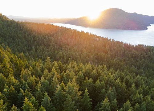 Pend 'Oreille Lake And National Forest Aerial Views