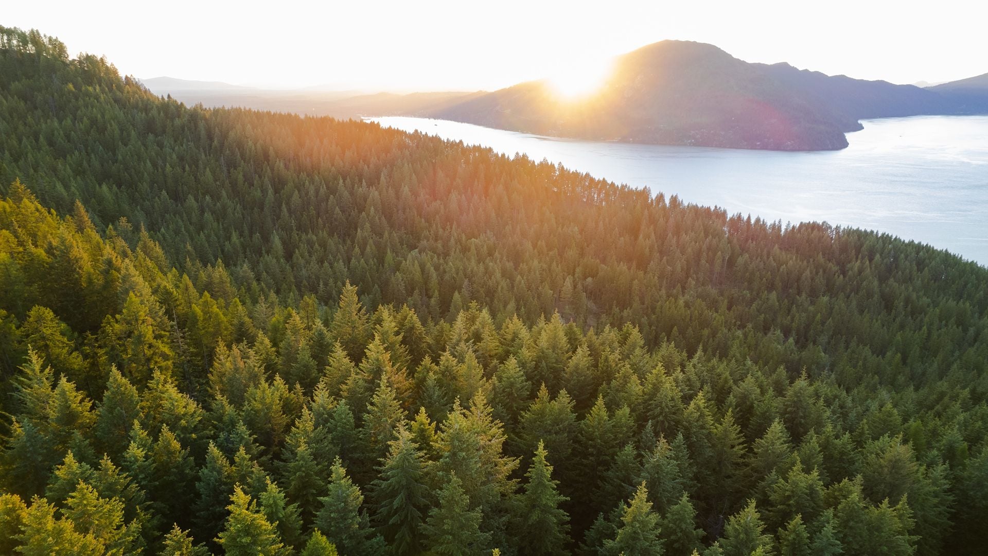 Sandpoint