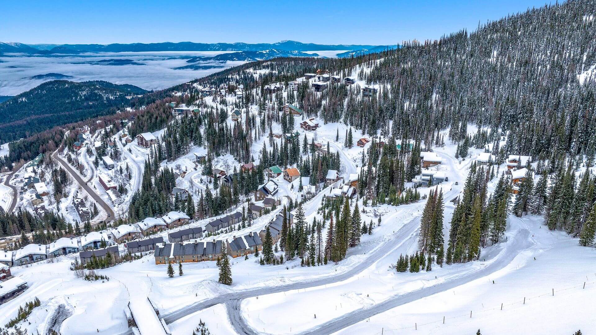 snow landscape