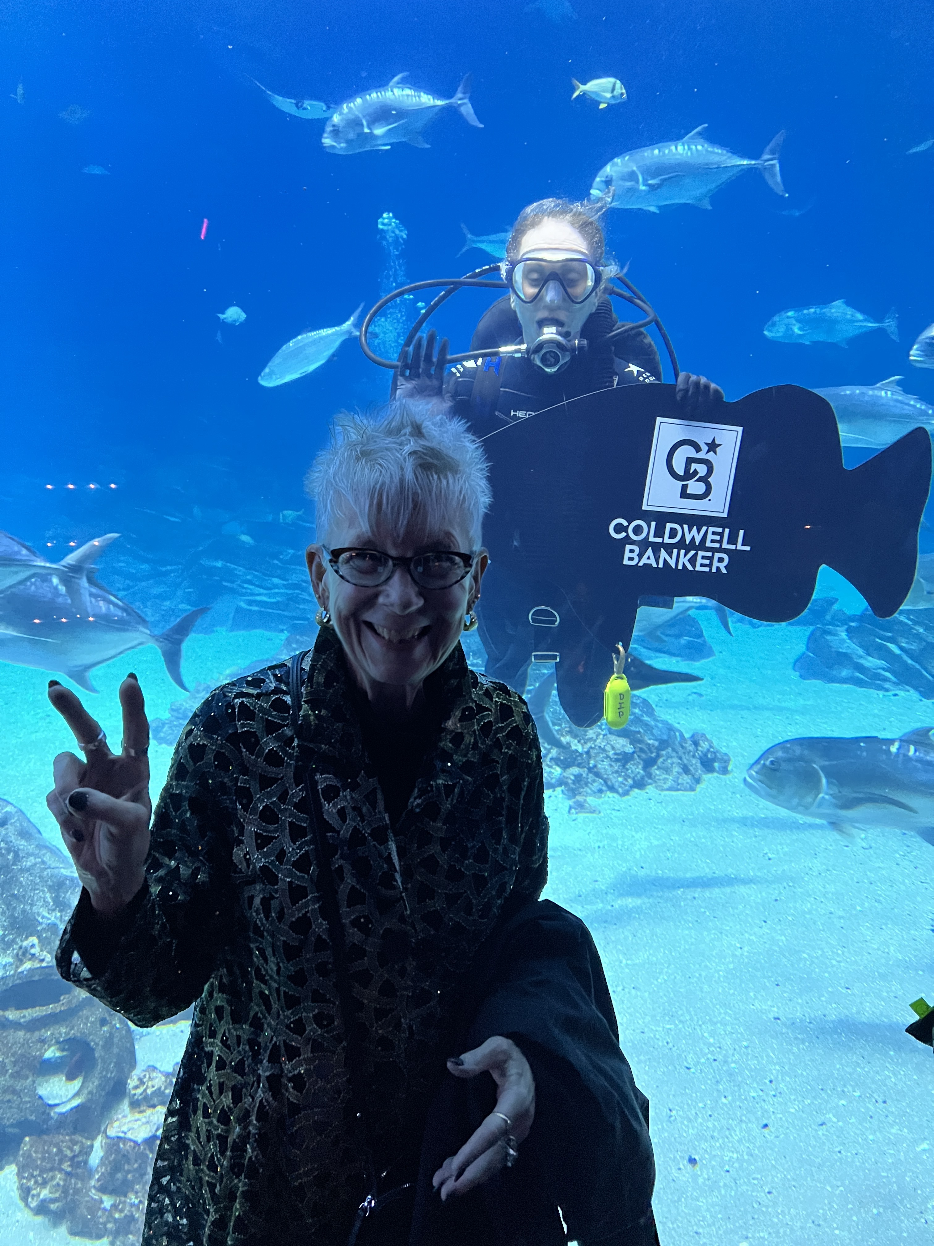 20231019_000721634_iOS